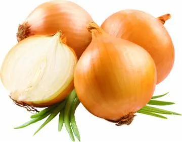 CEBOLA KG (REF: 1199)