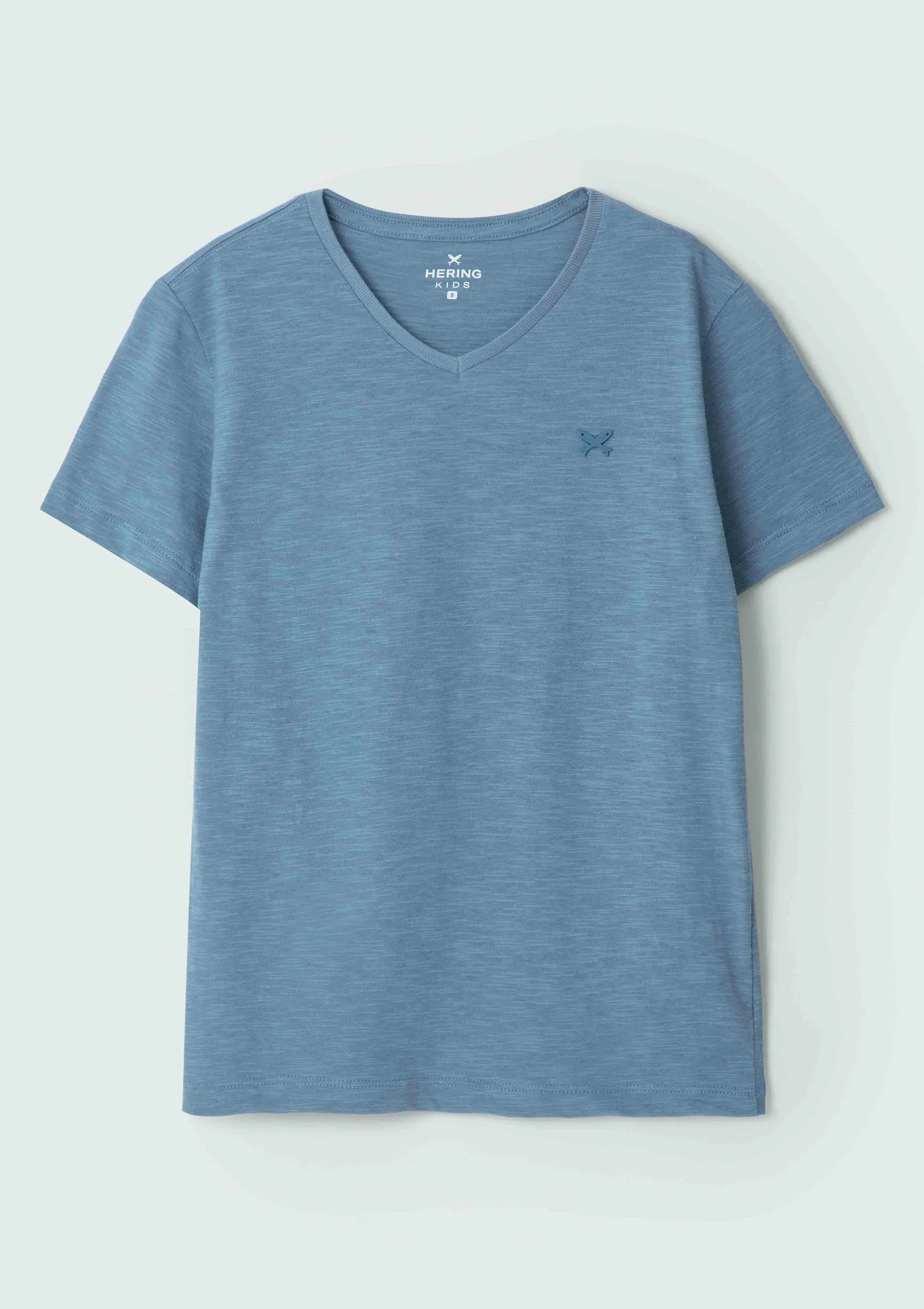 Camiseta Básica Infantil Menino Flamê Em Decote V Hering Kids - Azul