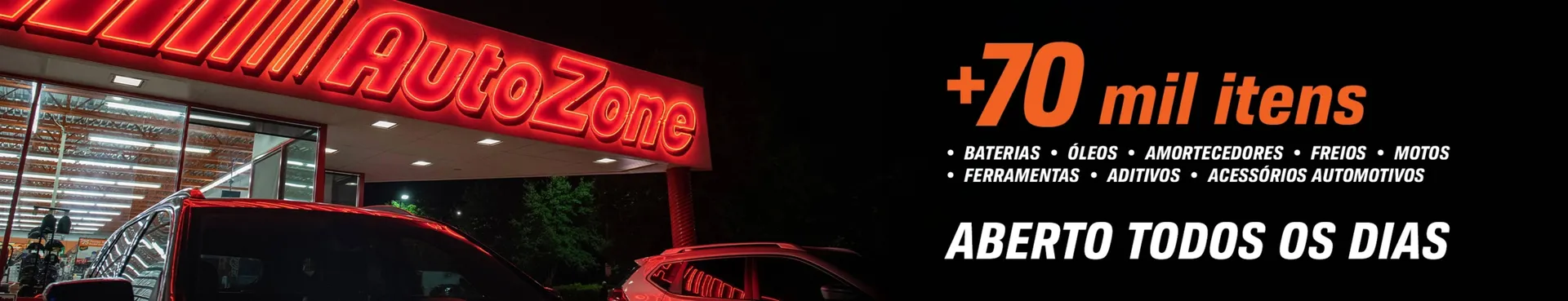 Catálogo AutoZone - 1