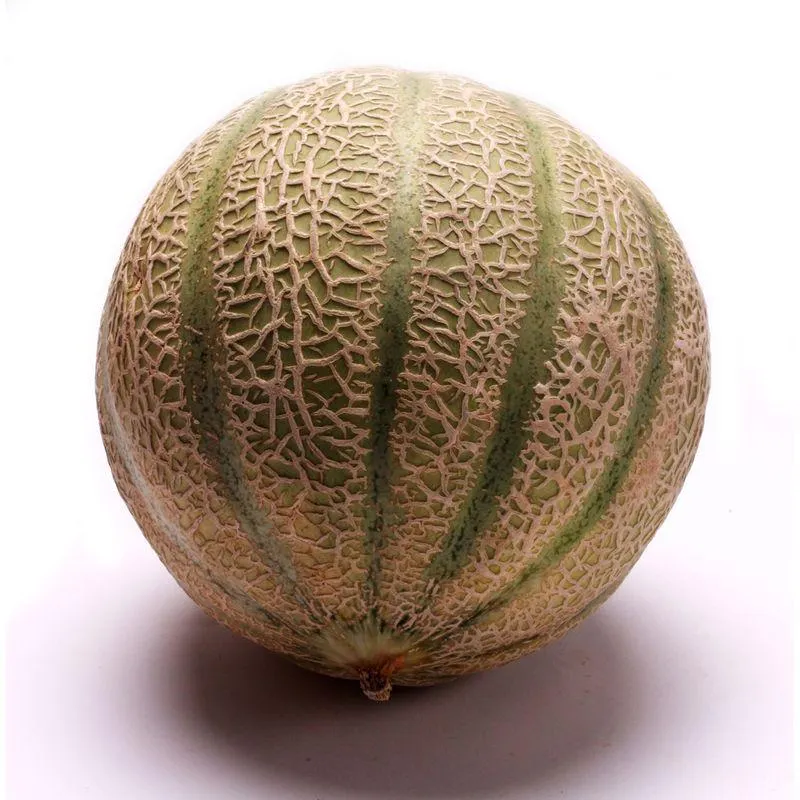 Melão Charantais1,8Kg