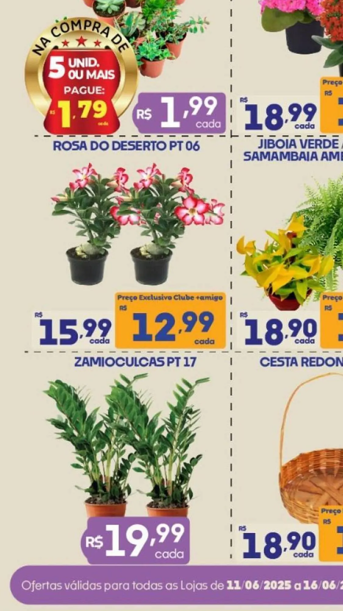 Encarte de Catálogo Supermercados Avenida 12 de junho até 15 de junho 2025 - Pagina 3
