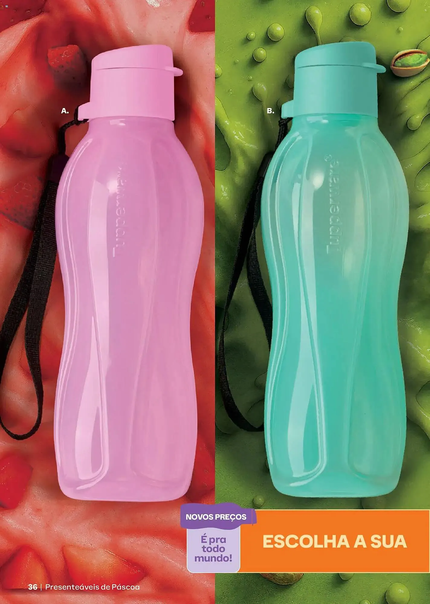 Encarte de Catálogo Tupperware 1 de março até 1 de abril 2026 - Pagina 36