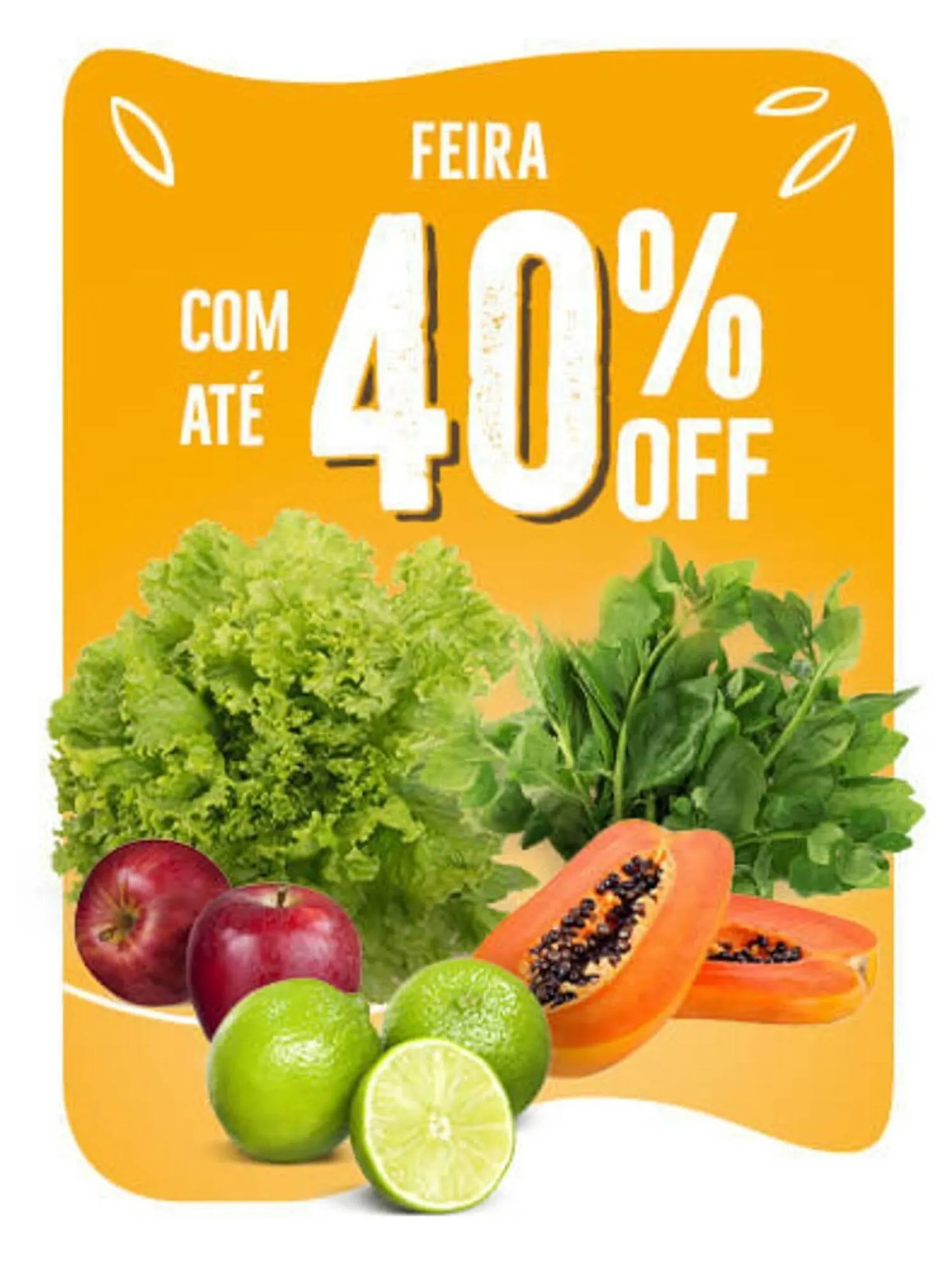 Catálogo Natural da Terra - 1