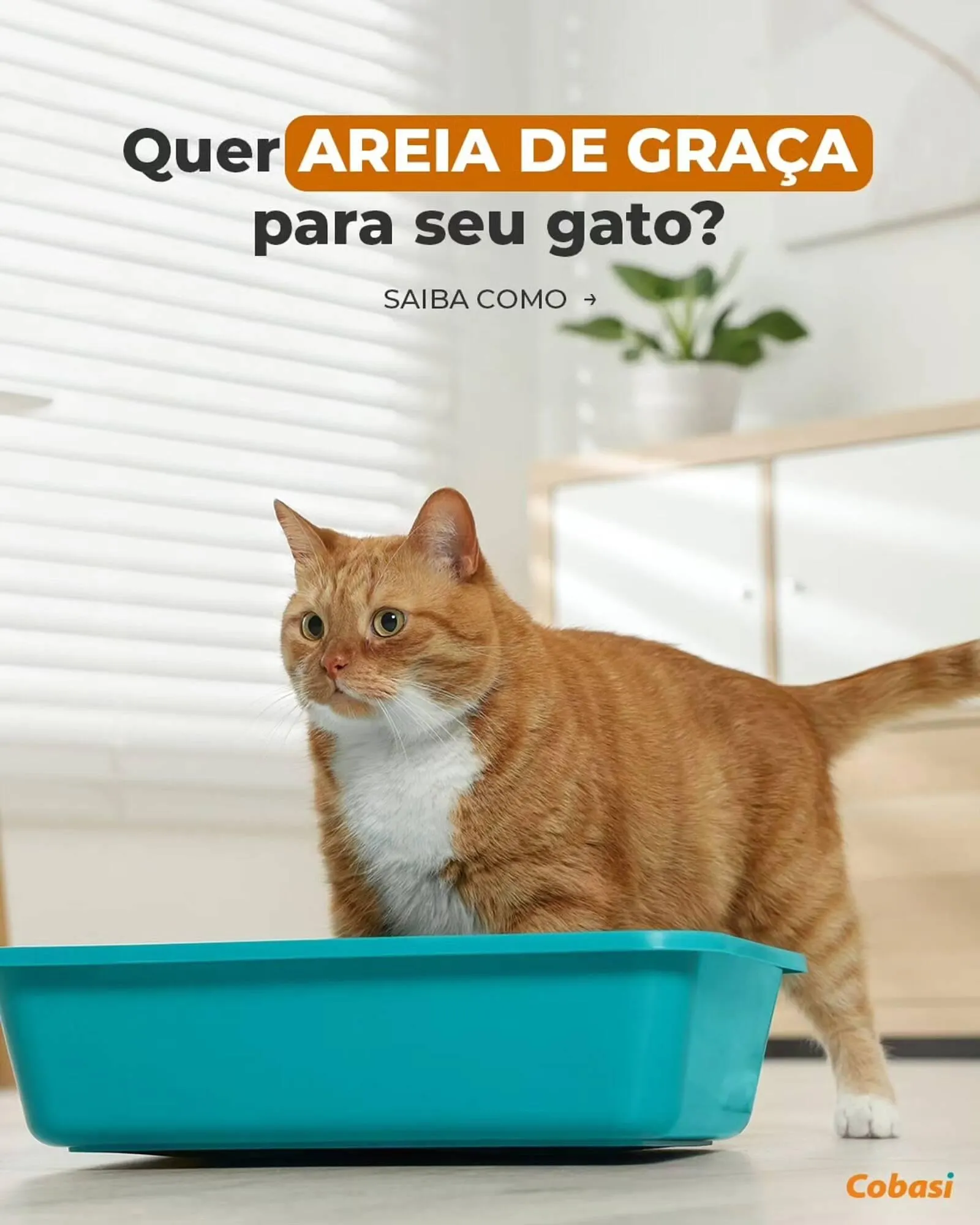 Encarte de Catálogo Cobasi 28 de maio até 31 de maio 2025 - Pagina 1