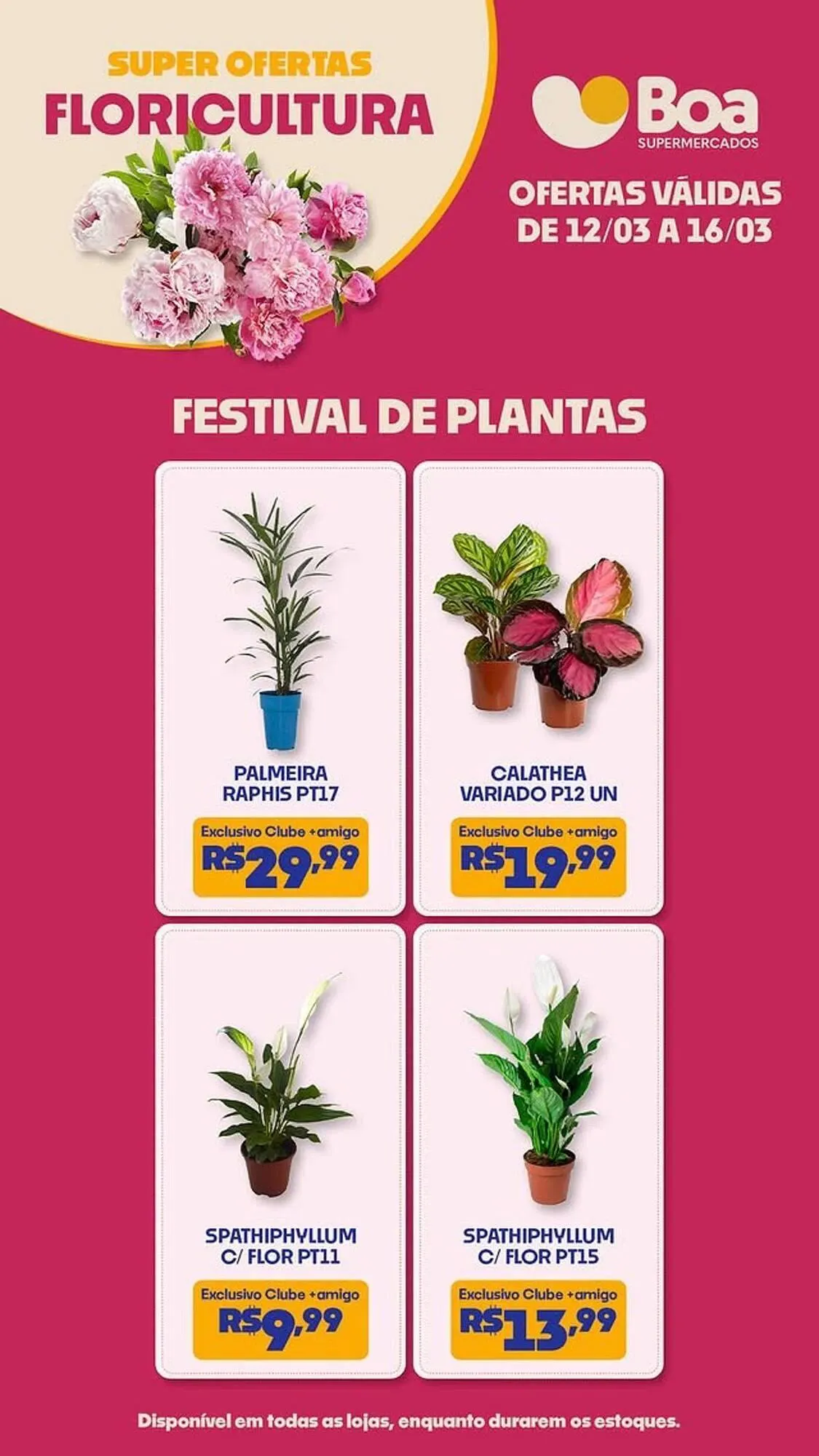 Encarte de Tabloide Boa Supermercados 12 de março até 16 de março 2026 - Pagina 2