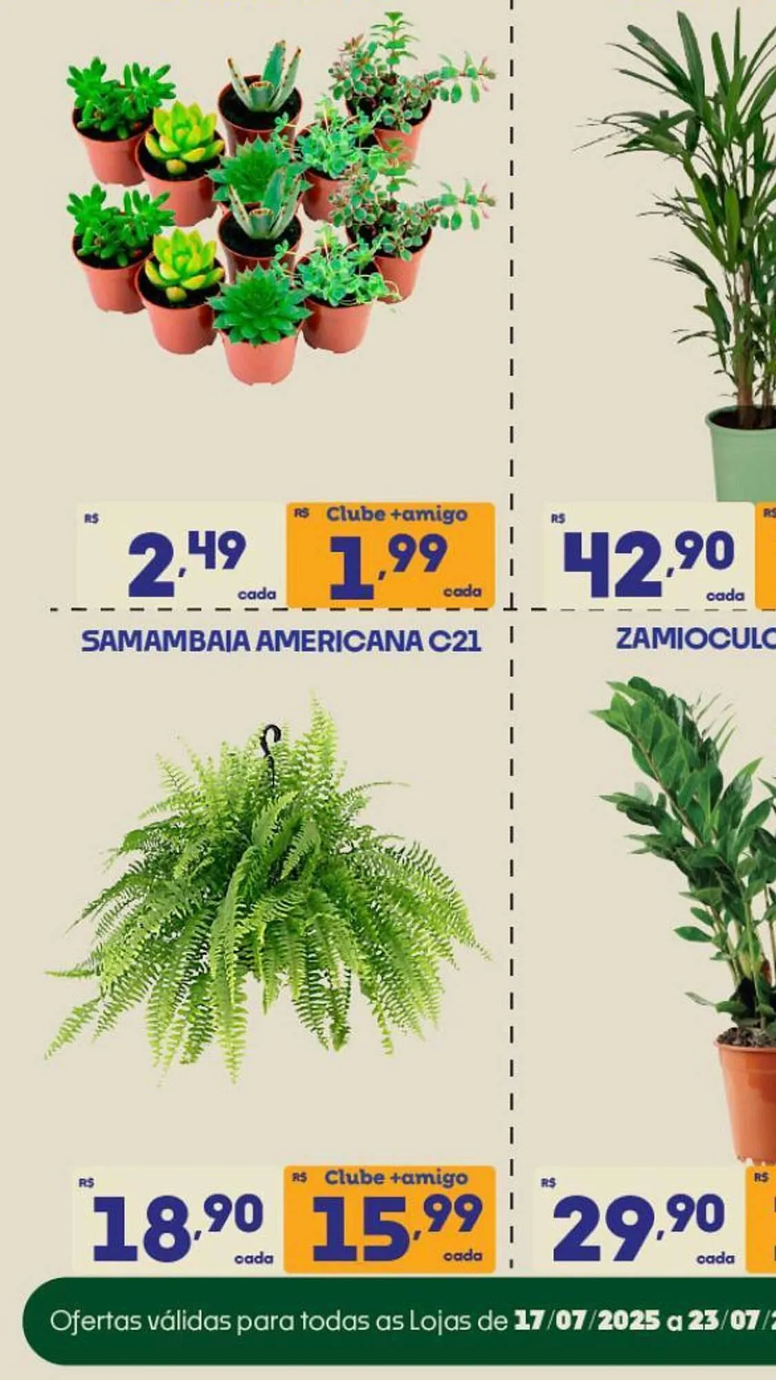 Encarte de Catálogo Supermercados Avenida 18 de julho até 24 de julho 2025 - Pagina 8