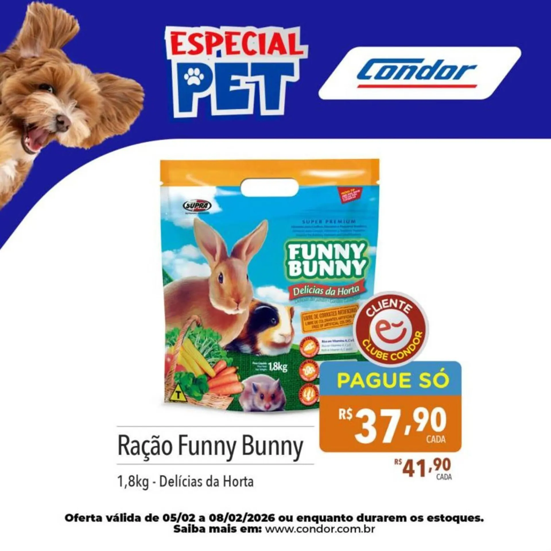 Encarte de Catálogo Supermercados Condor 5 de fevereiro até 18 de fevereiro 2026 - Pagina 12