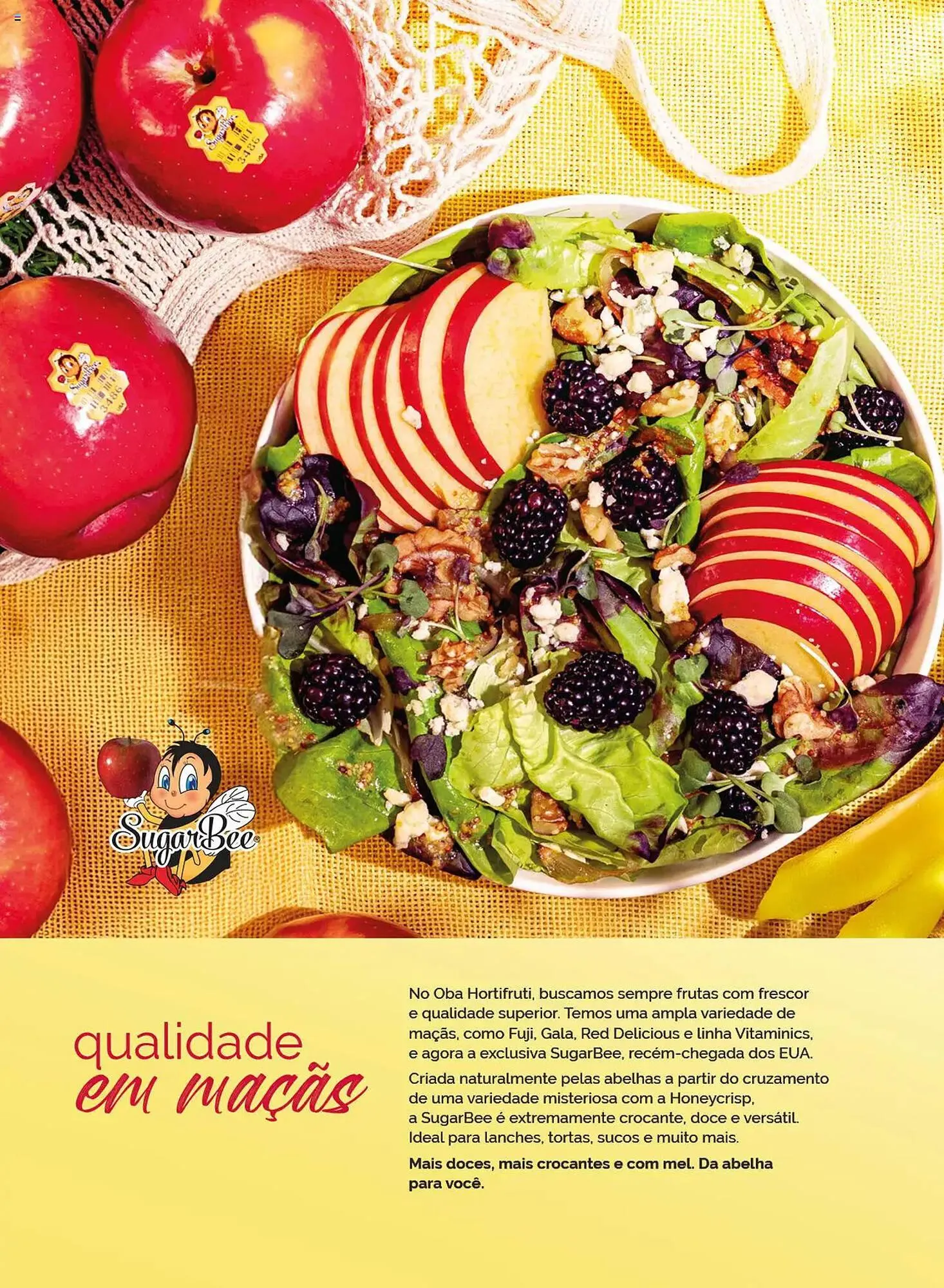 Encarte de Catálogo Oba Hortifruti 2 de maio até 23 de junho 2025 - Pagina 10