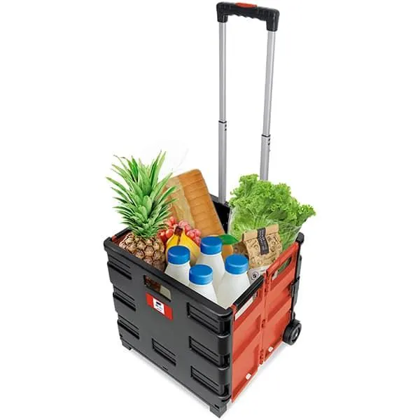 Carrinho multiuso dobrável Easy Space PT 1 UN