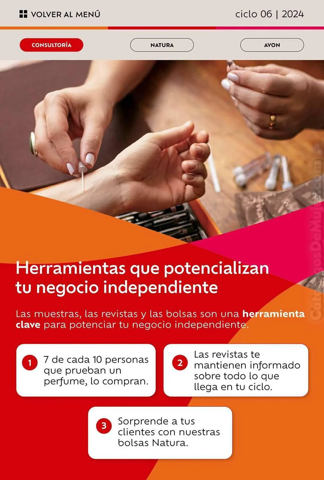 Encarte de Catálogo Natura 27 de março até 30 de abril 2024 - Pagina 53