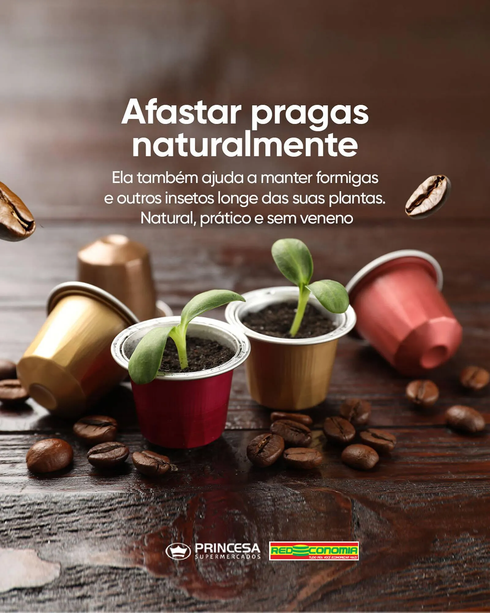 Encarte de Catálogo Supermercados Princesa 29 de maio até 31 de maio 2025 - Pagina 4