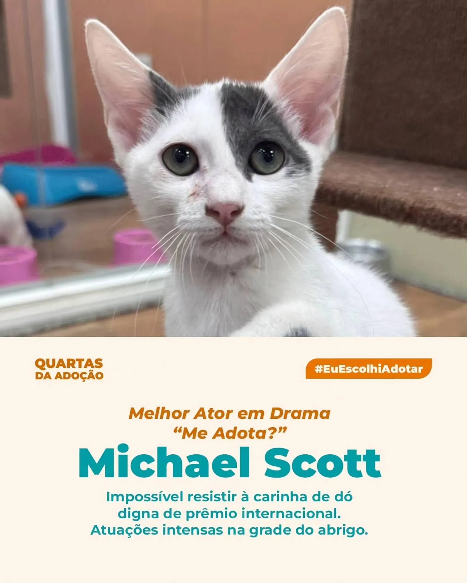 Encarte de Catálogo Cobasi 11 de março até 15 de março 2026 - Pagina 3