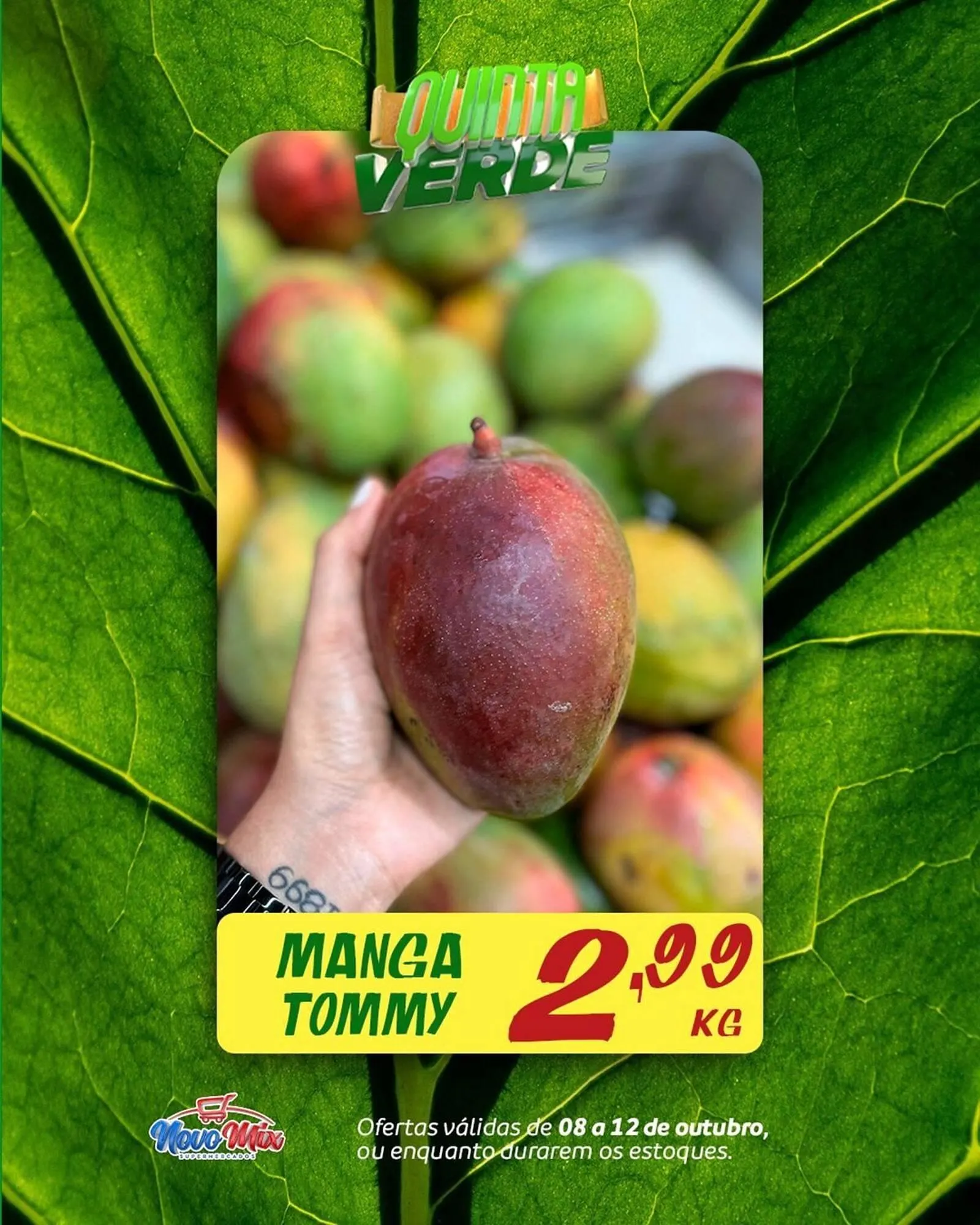 Encarte Novo Mix - 1