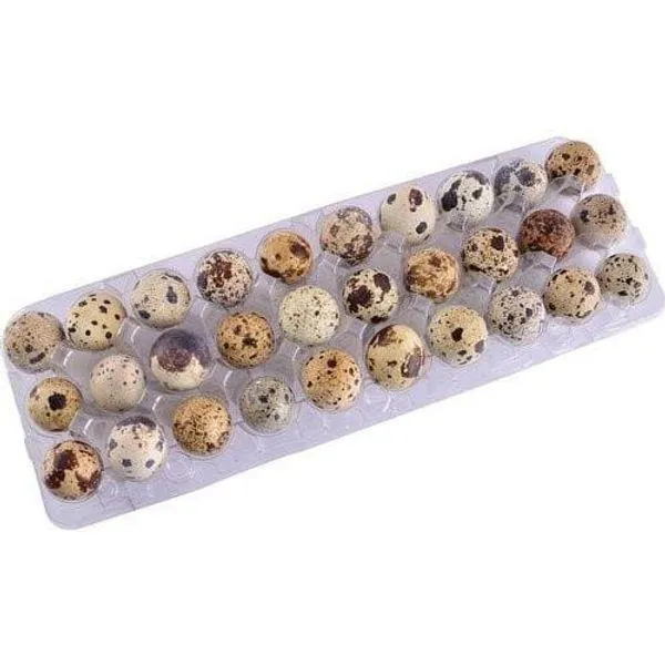 Ovo Veneza Codorna c/ 30 Unidades