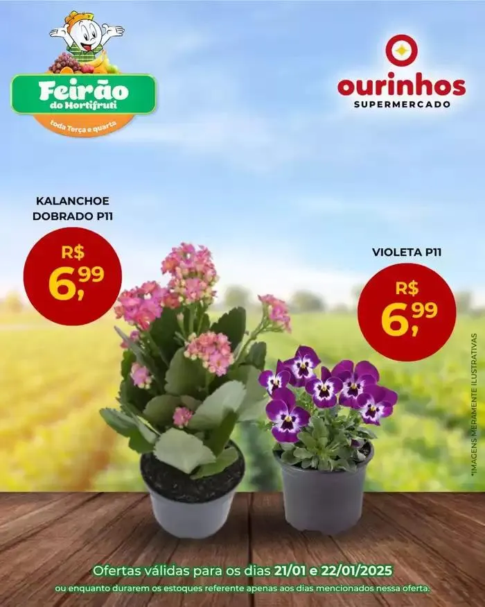 Encarte de Encarte Ourinhos Hipermercado 21 de janeiro até 22 de janeiro 2025 - Pagina 4