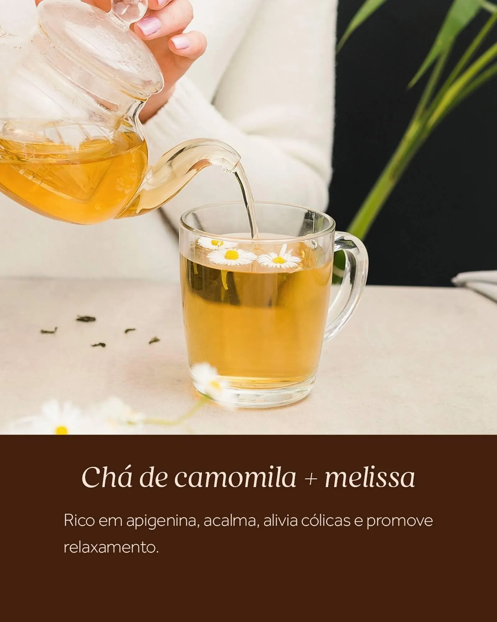 Encarte de Catálogo Festval 18 de julho até 31 de julho 2025 - Pagina 3