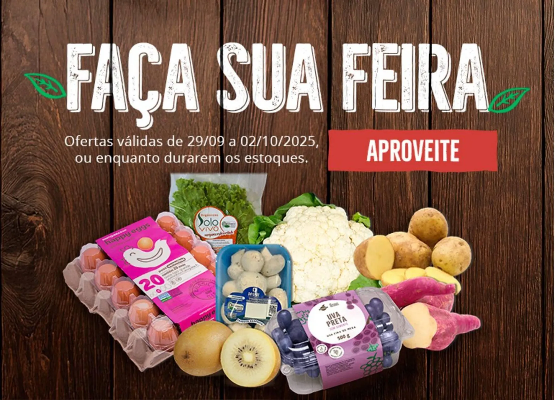 Encarte de Catálogo Natural da Terra 30 de setembro até 5 de outubro 2025 - Pagina 3