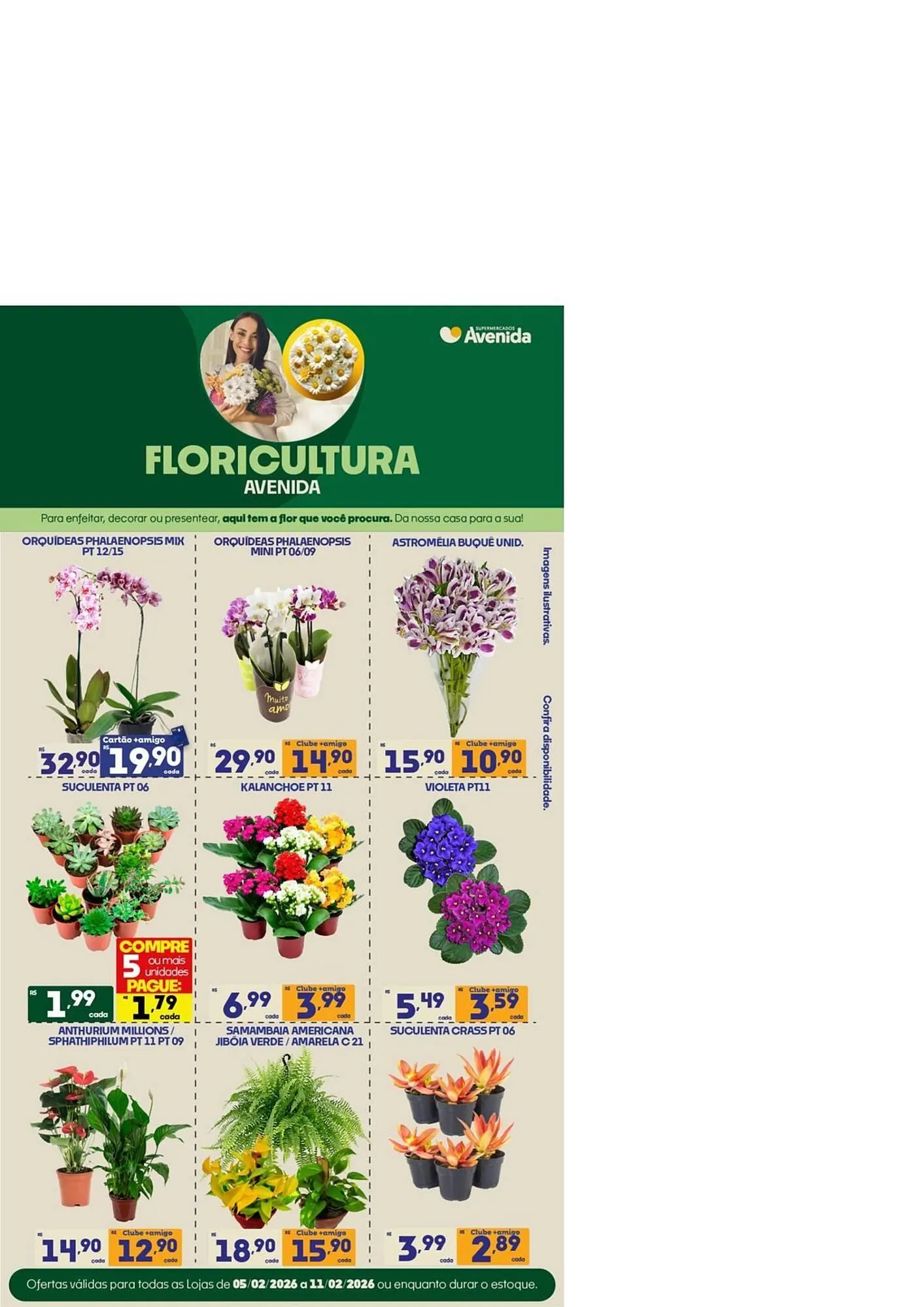 Encarte de Catálogo Supermercados Avenida 10 de fevereiro até 17 de fevereiro 2026 - Pagina 15