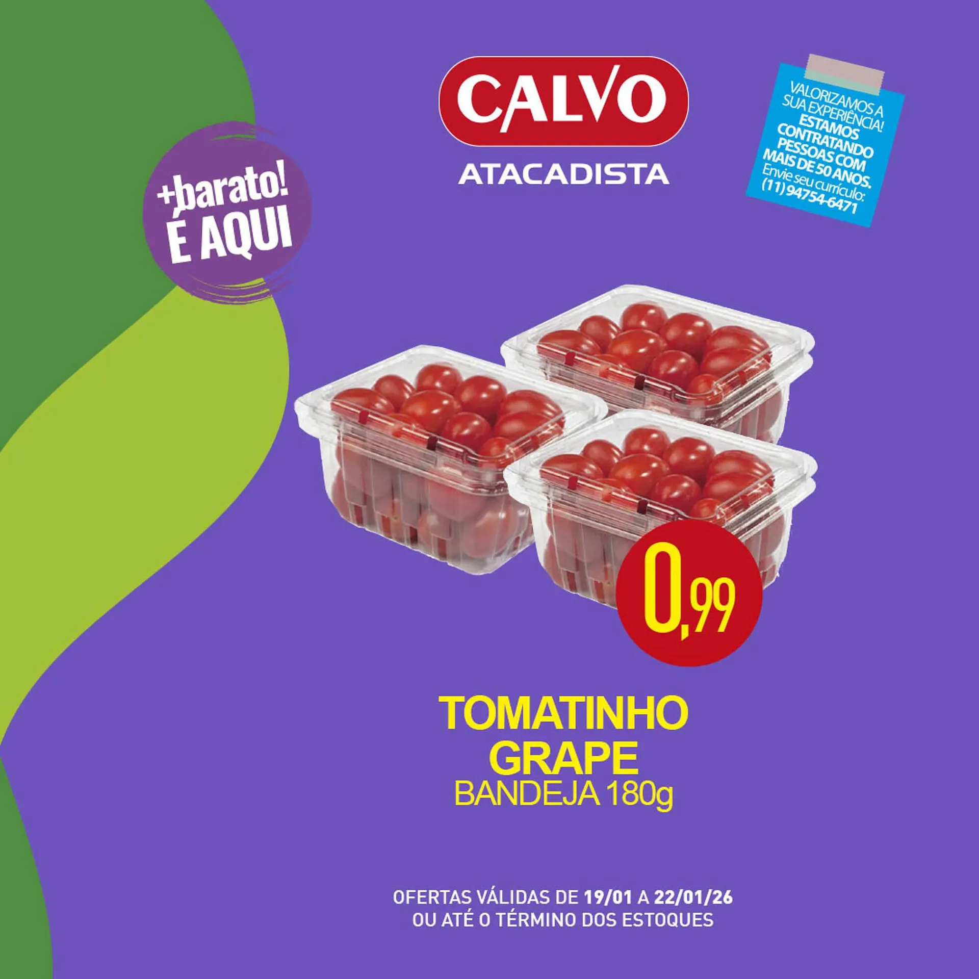 Folheto Calvo Atacadista - 1