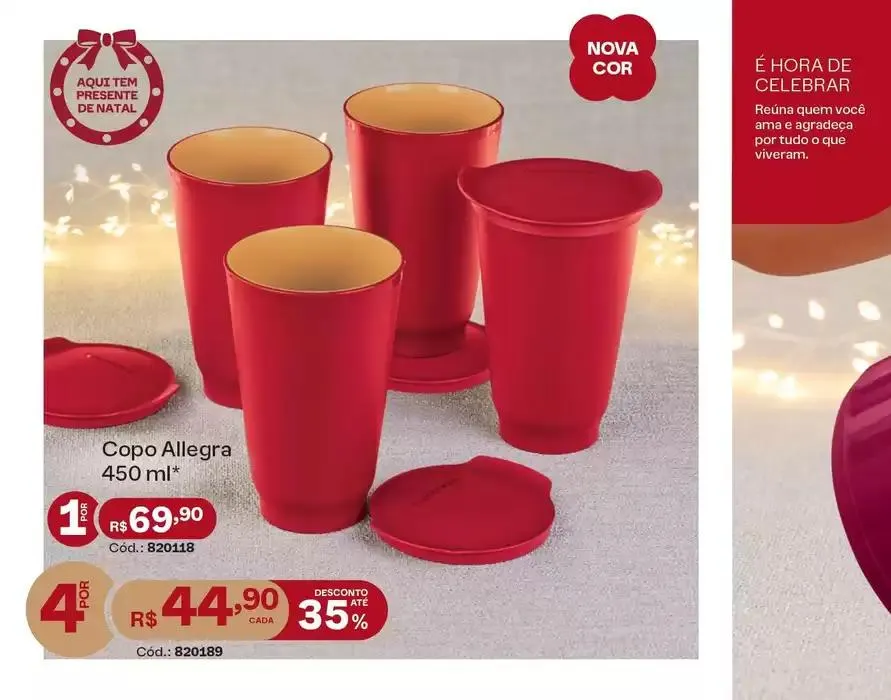 Encarte de Ofertas Tupperware 29 de outubro até 31 de dezembro 2024 - Pagina 10