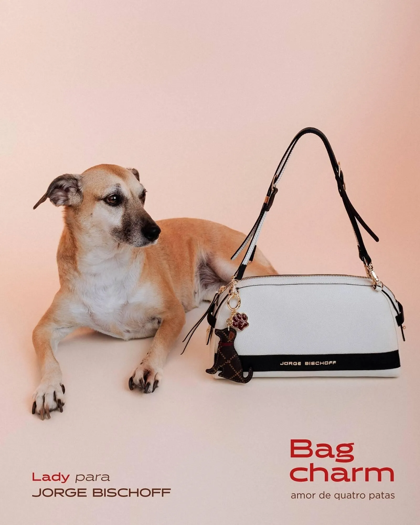 Encarte de Catálogo Jorge Bischoff 23 de abril até 30 de abril 2026 - Pagina 1