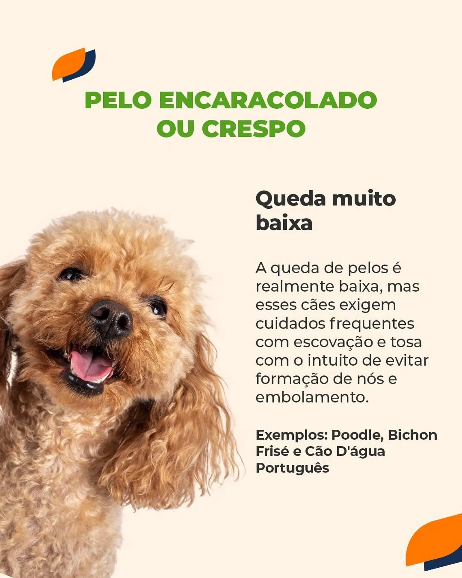 Encarte de Catálogo Cobasi 1 de outubro até 31 de outubro 2025 - Pagina 5