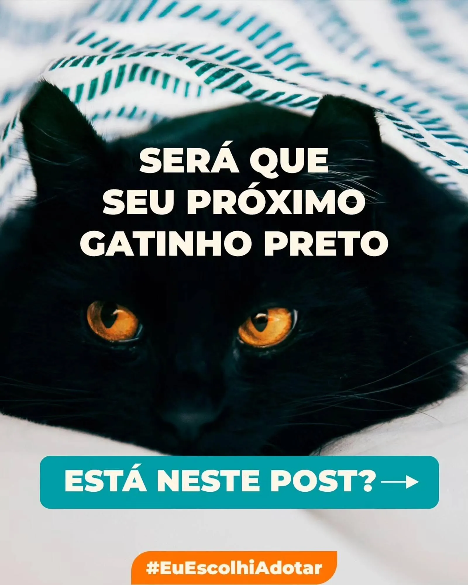 Catálogo Cobasi - 1