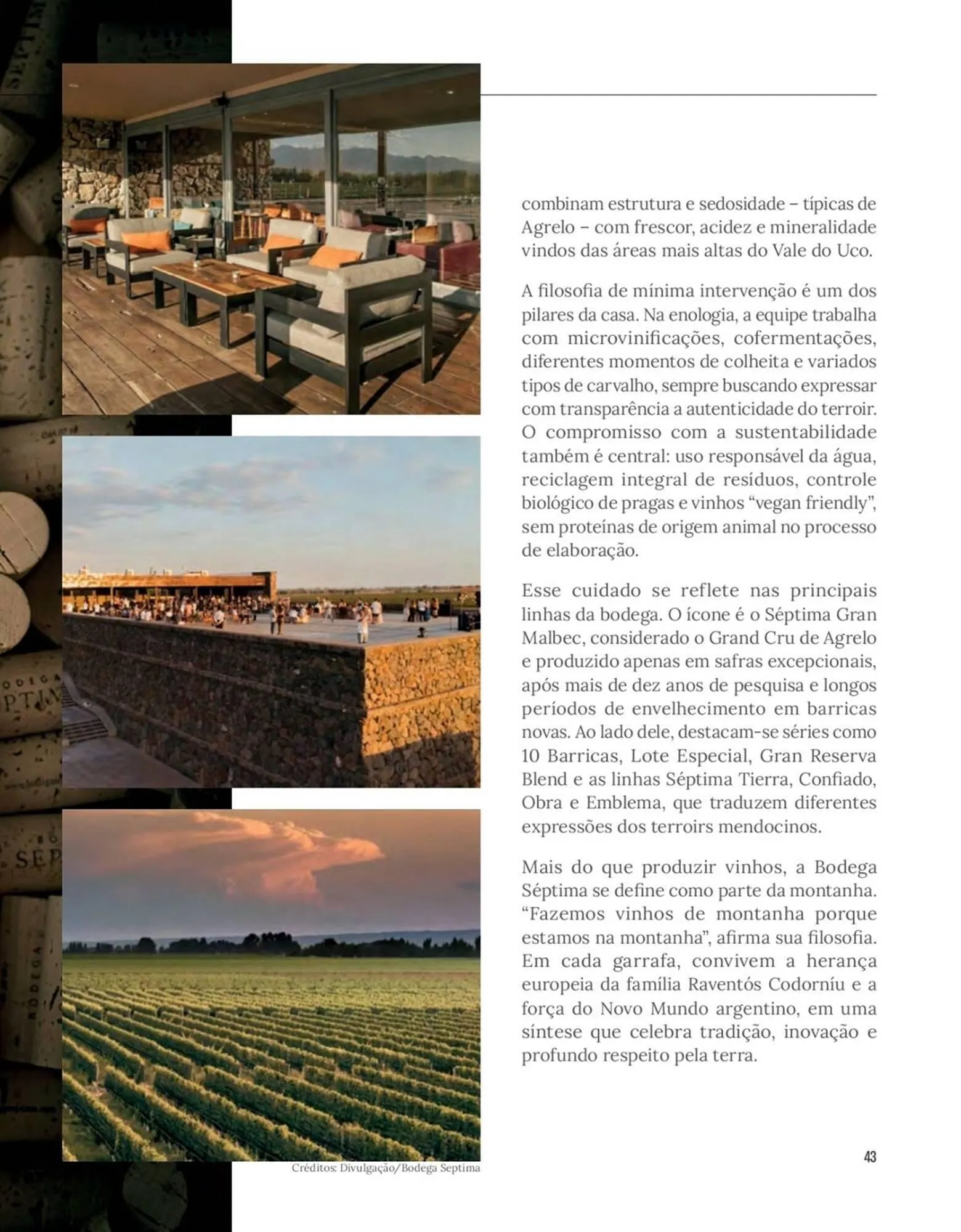 Encarte de Encarte Festval 16 de março até 31 de março 2026 - Pagina 43