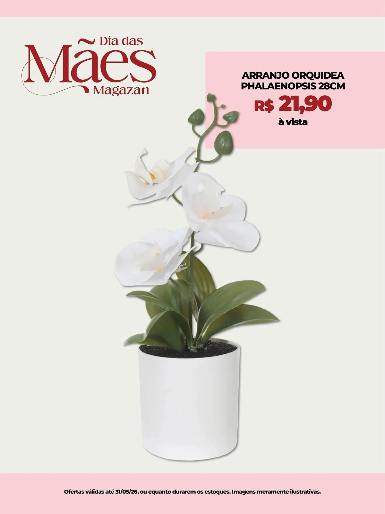 Encarte de Magazine Magazan 8 de maio até 31 de maio 2026 - Pagina 5