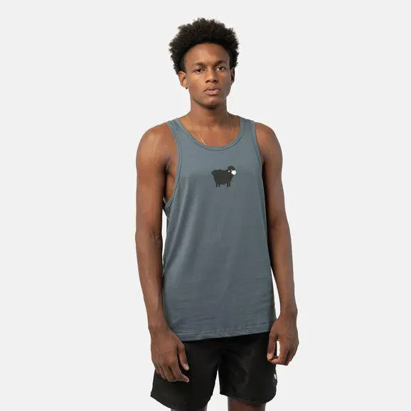 Regata Lost New Sheep