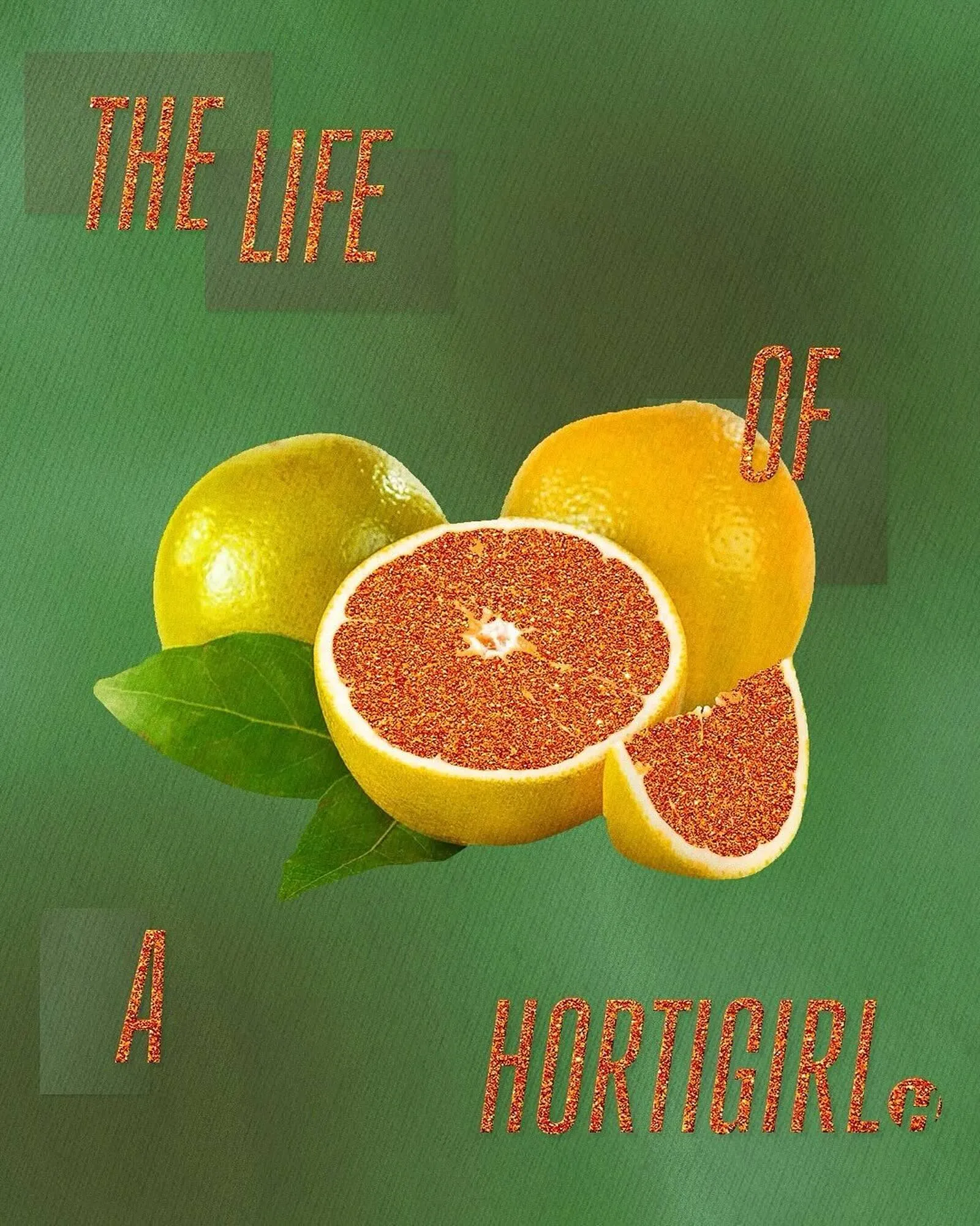 Encarte de Catálogo Hiperideal Supermercados 14 de agosto até 17 de agosto 2025 - Pagina 1