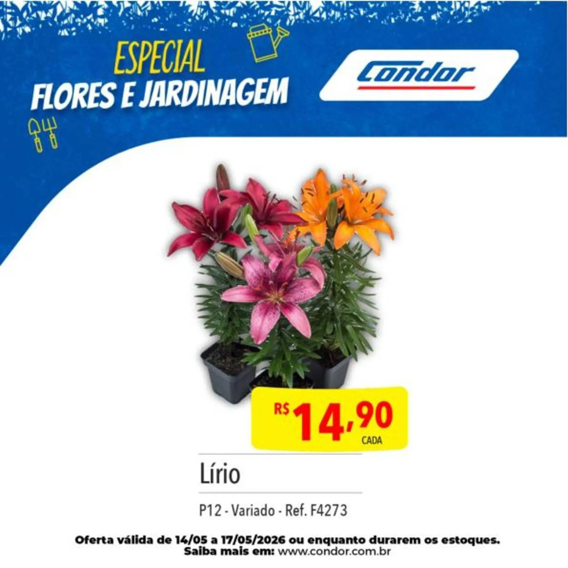 Encarte de Catálogo Supermercados Condor 12 de maio até 14 de maio 2026 - Pagina 23