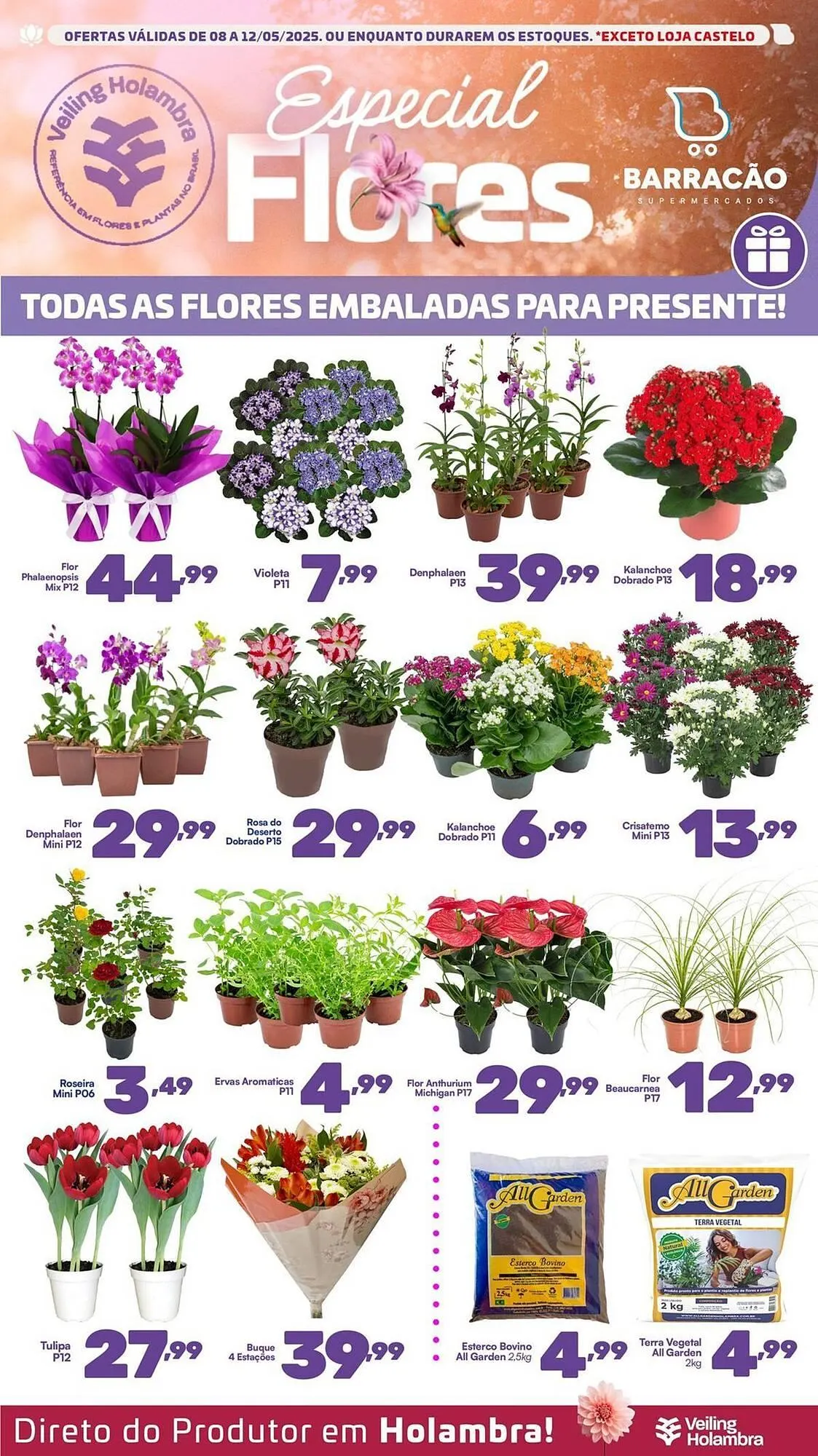 Encarte de Catálogo Barracão Supermercado 8 de maio até 12 de maio 2025 - Pagina 1