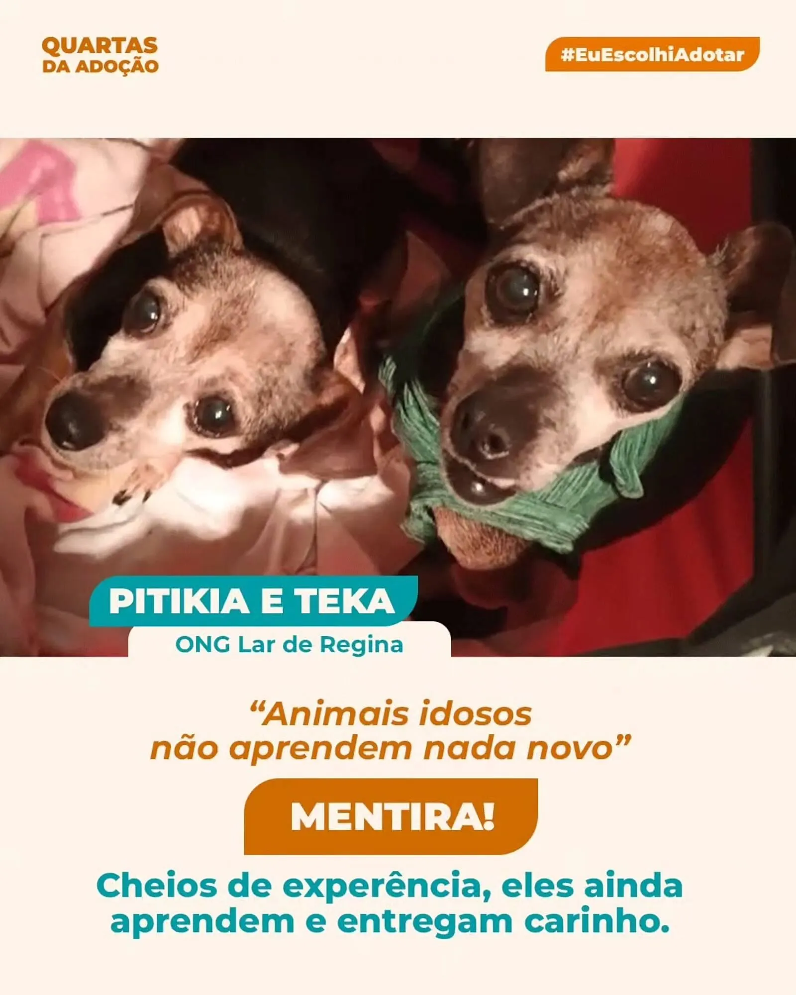 Encarte de Catálogo Cobasi 1 de abril até 10 de abril 2026 - Pagina 2