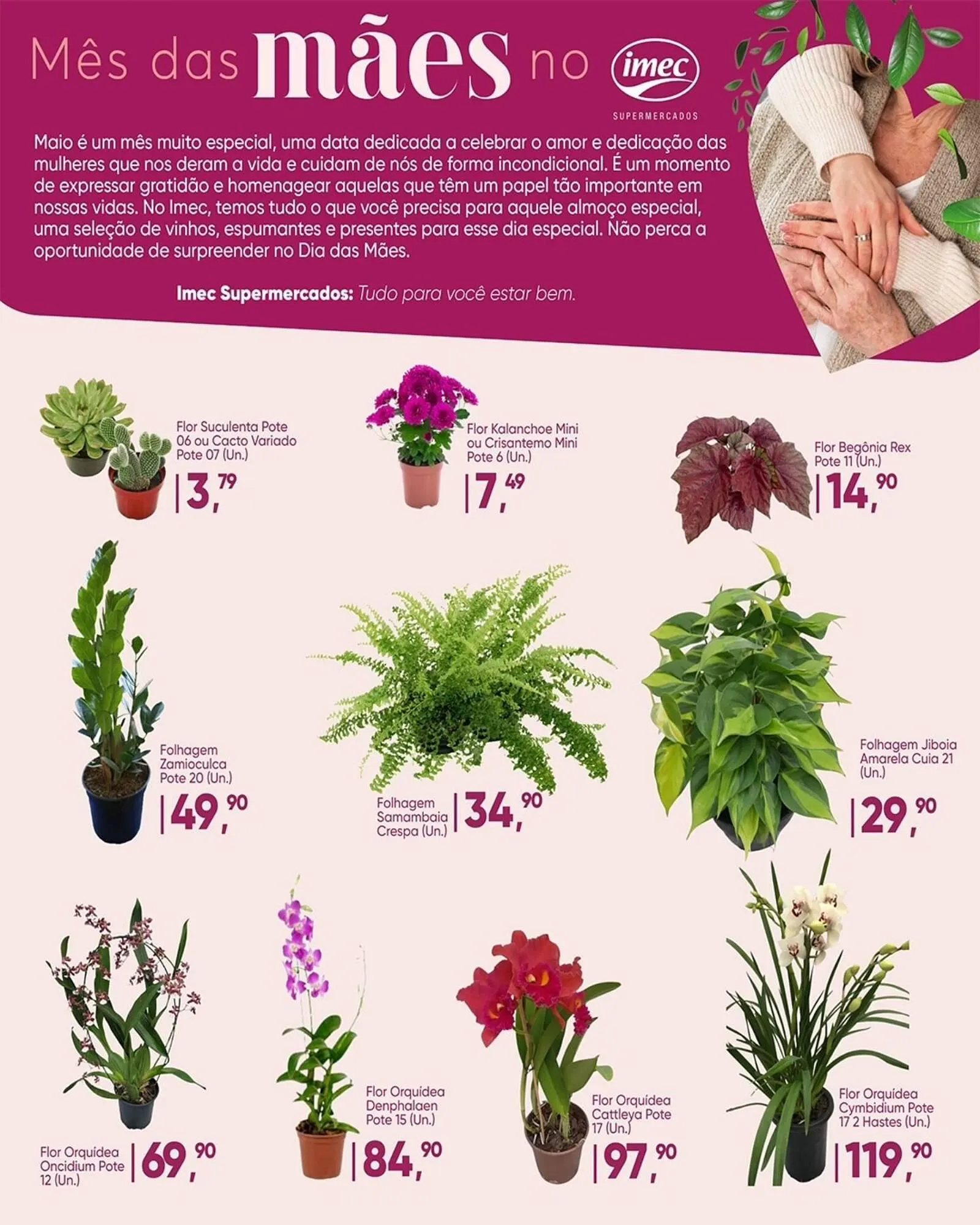 Encarte de Catálogo Imec Supermercados 29 de abril até 10 de maio 2026 - Pagina 2