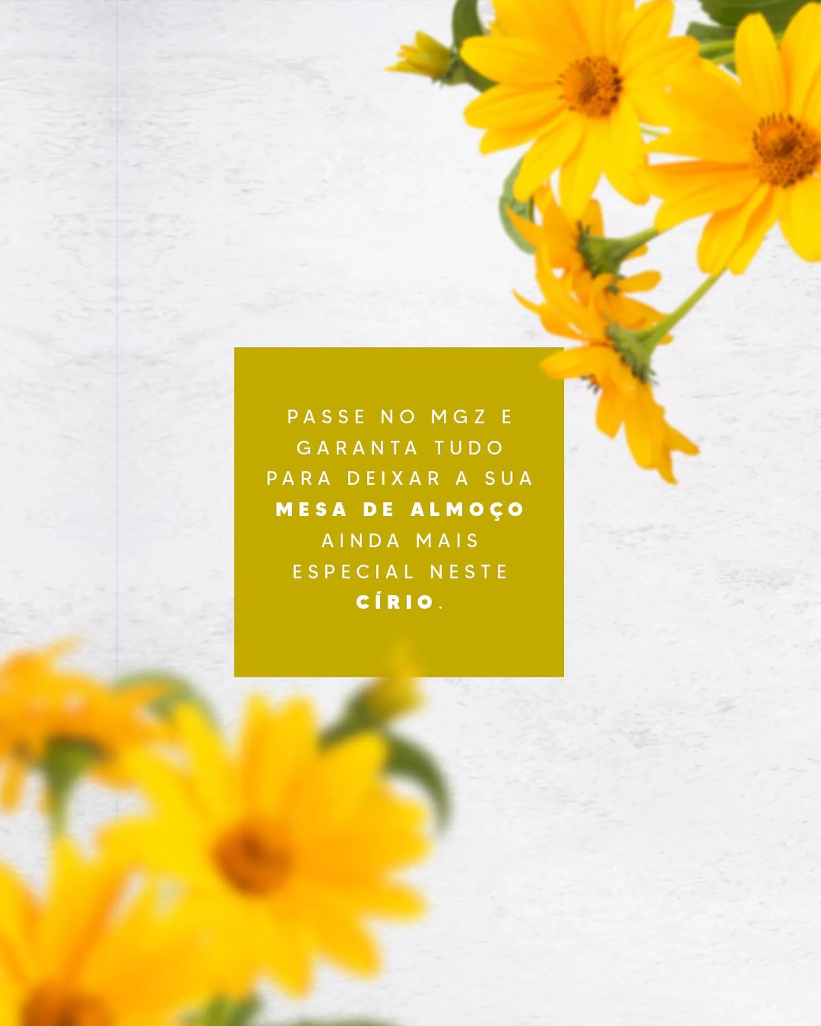 Encarte de Magazine Magazan 5 de outubro até 11 de outubro 2025 - Pagina 2