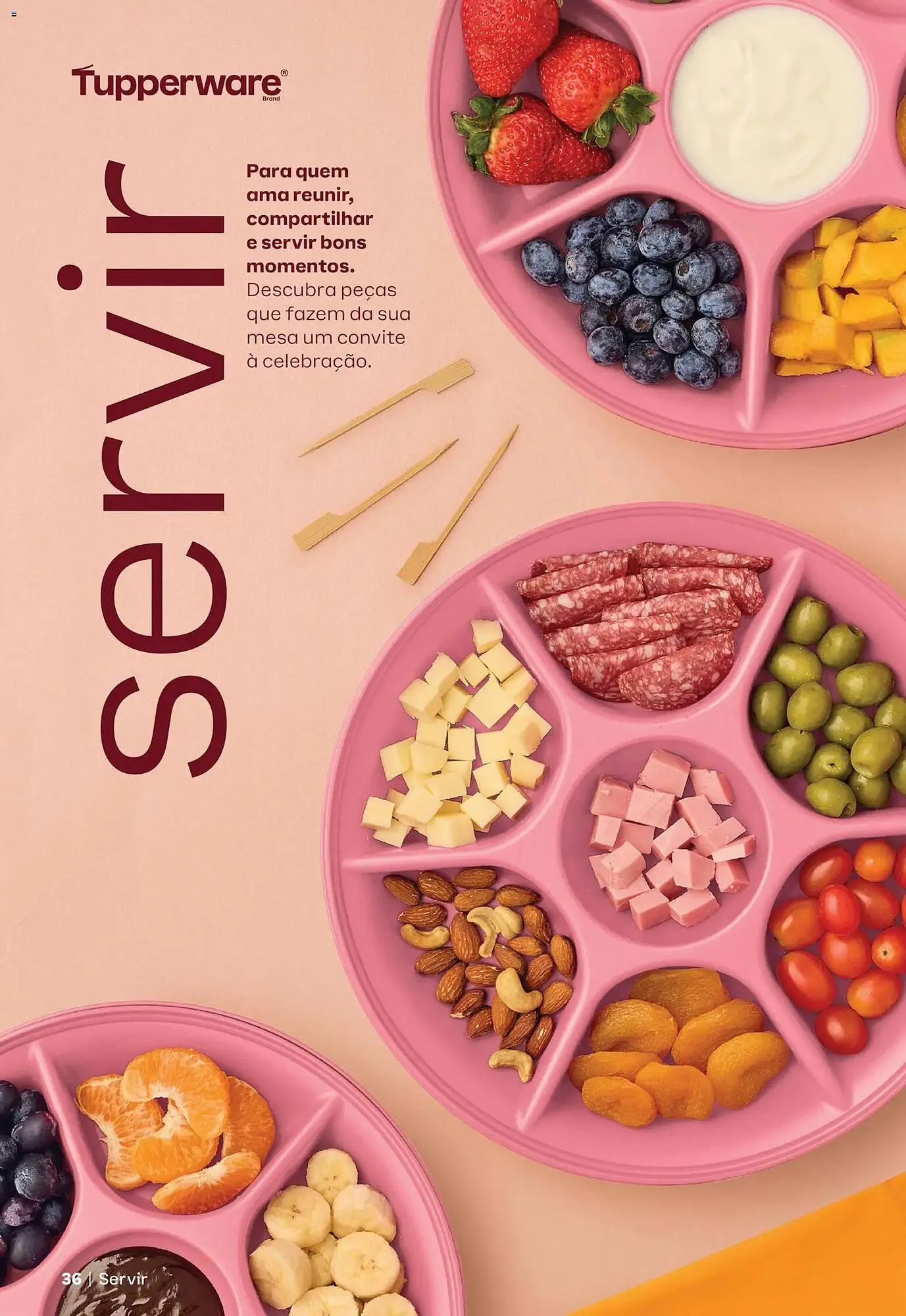 Encarte de Catálogo Tupperware 1 de fevereiro até 28 de fevereiro 2026 - Pagina 36