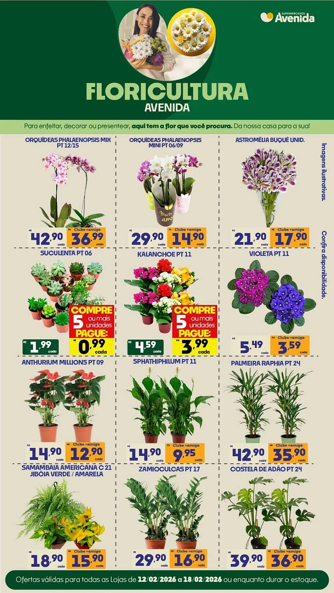 Encarte de Catálogo Supermercados Avenida 12 de fevereiro até 19 de fevereiro 2026 - Pagina 3