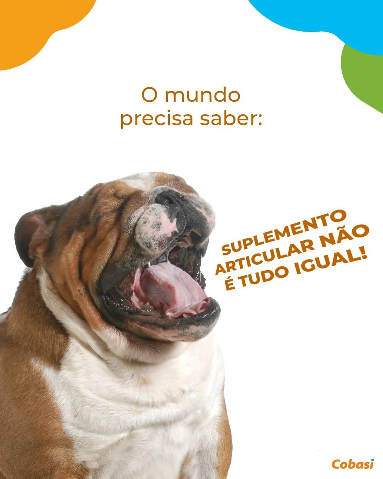 Encarte de Catálogo Cobasi 25 de junho até 30 de junho 2025 - Pagina 1