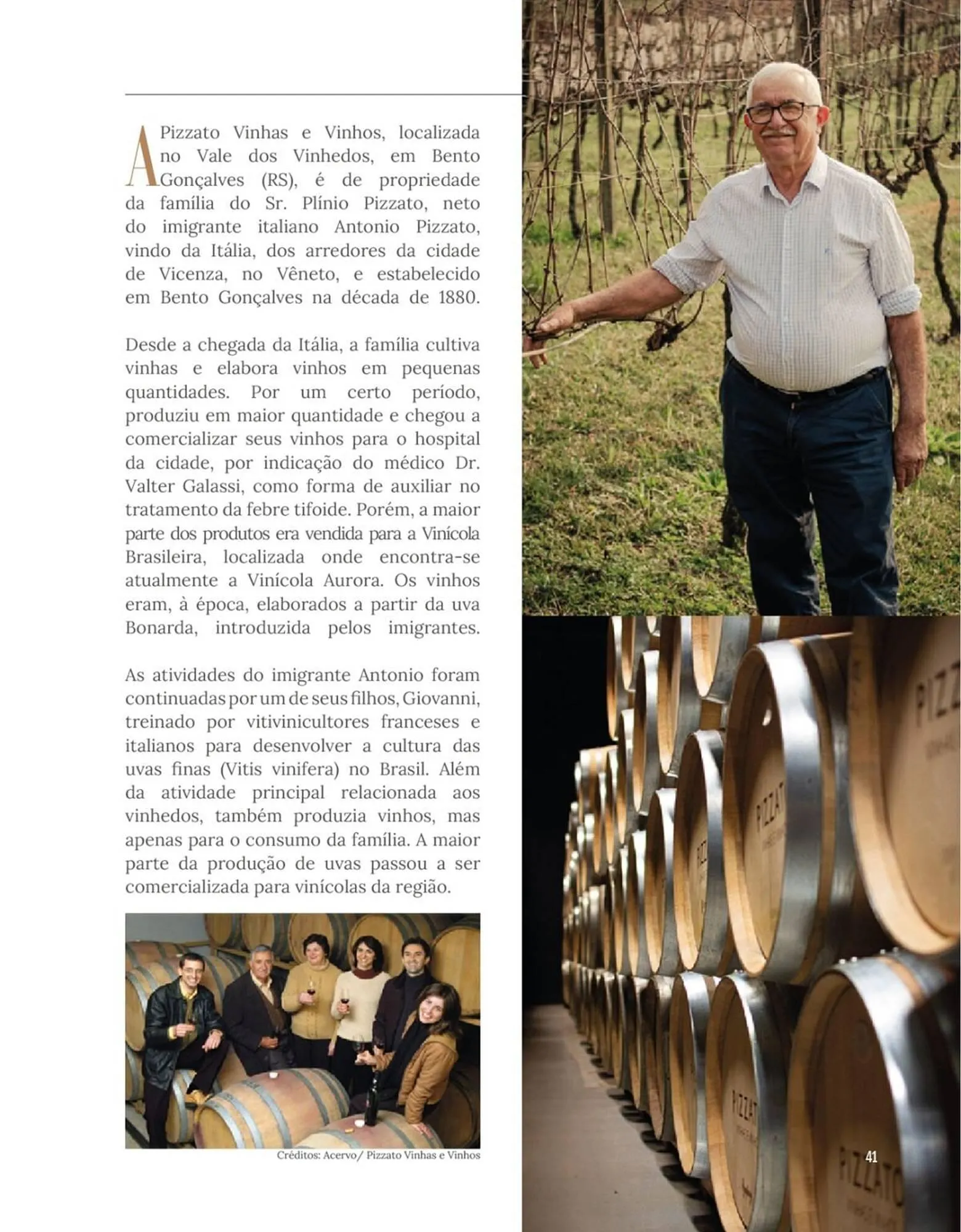 Encarte de Encarte Festval 18 de dezembro até 31 de dezembro 2025 - Pagina 41