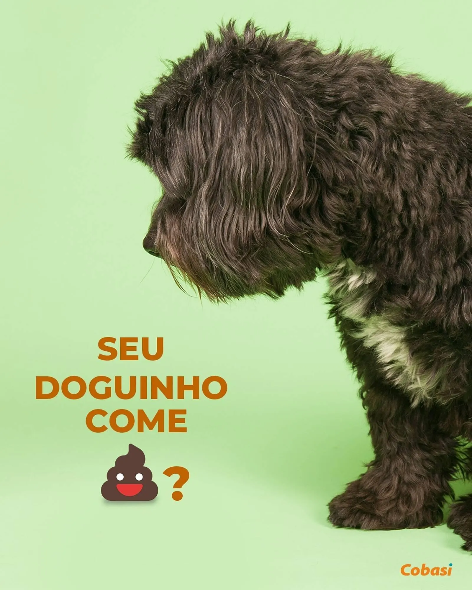 Encarte de Catálogo Cobasi 24 de junho até 30 de junho 2025 - Pagina 1