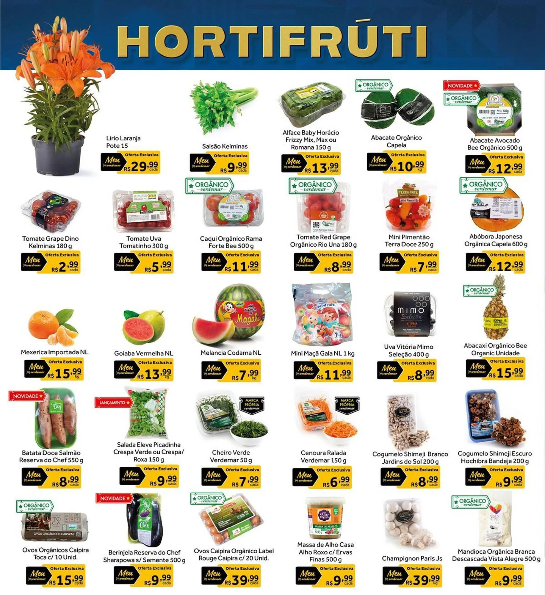 Encarte de Catálogo Verdemar Supermercado 20 de março até 27 de março 2024 - Pagina 30
