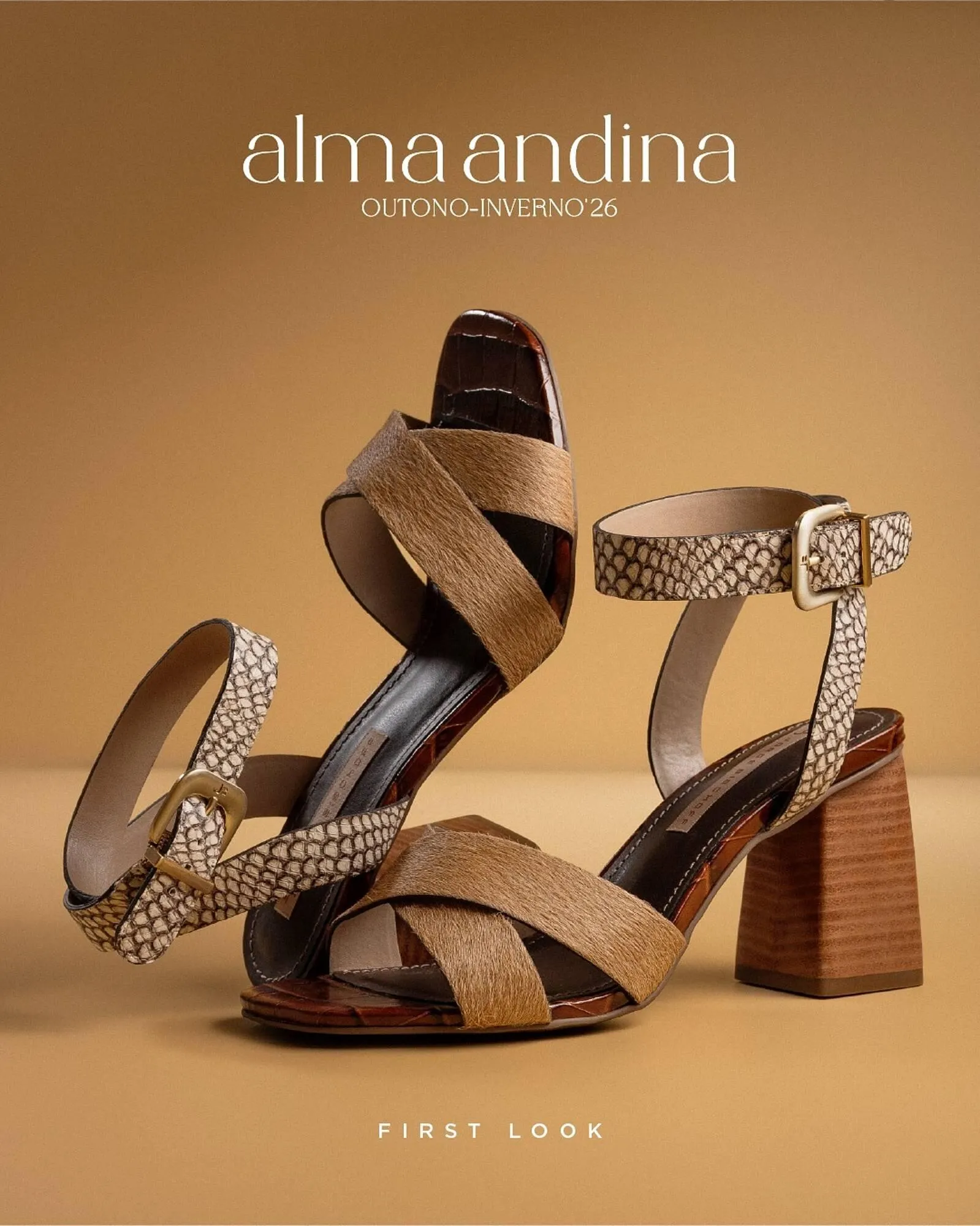 Encarte de Catálogo Jorge Bischoff 13 de janeiro até 19 de janeiro 2026 - Pagina 1