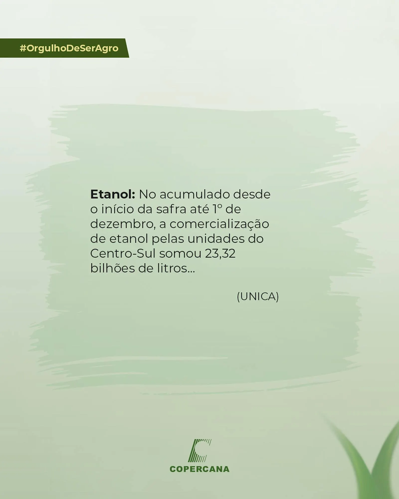 Encarte de Tabloide Copercana 18 de dezembro até 18 de dezembro 2025 - Pagina 2