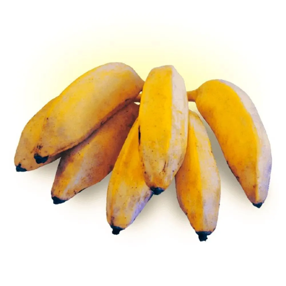 Banana Figo Kg