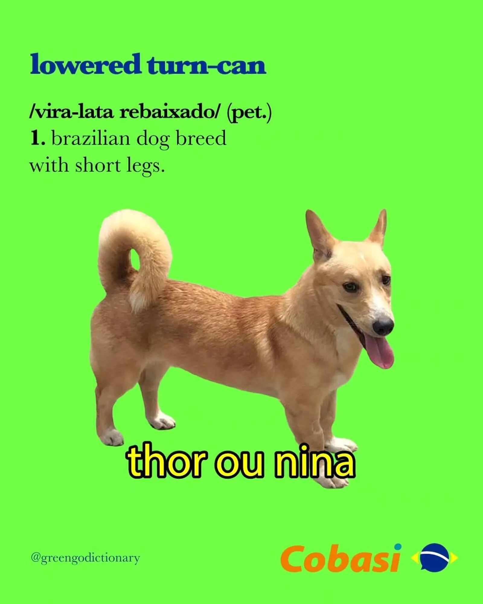 Encarte de Catálogo Cobasi 7 de agosto até 31 de agosto 2025 - Pagina 5