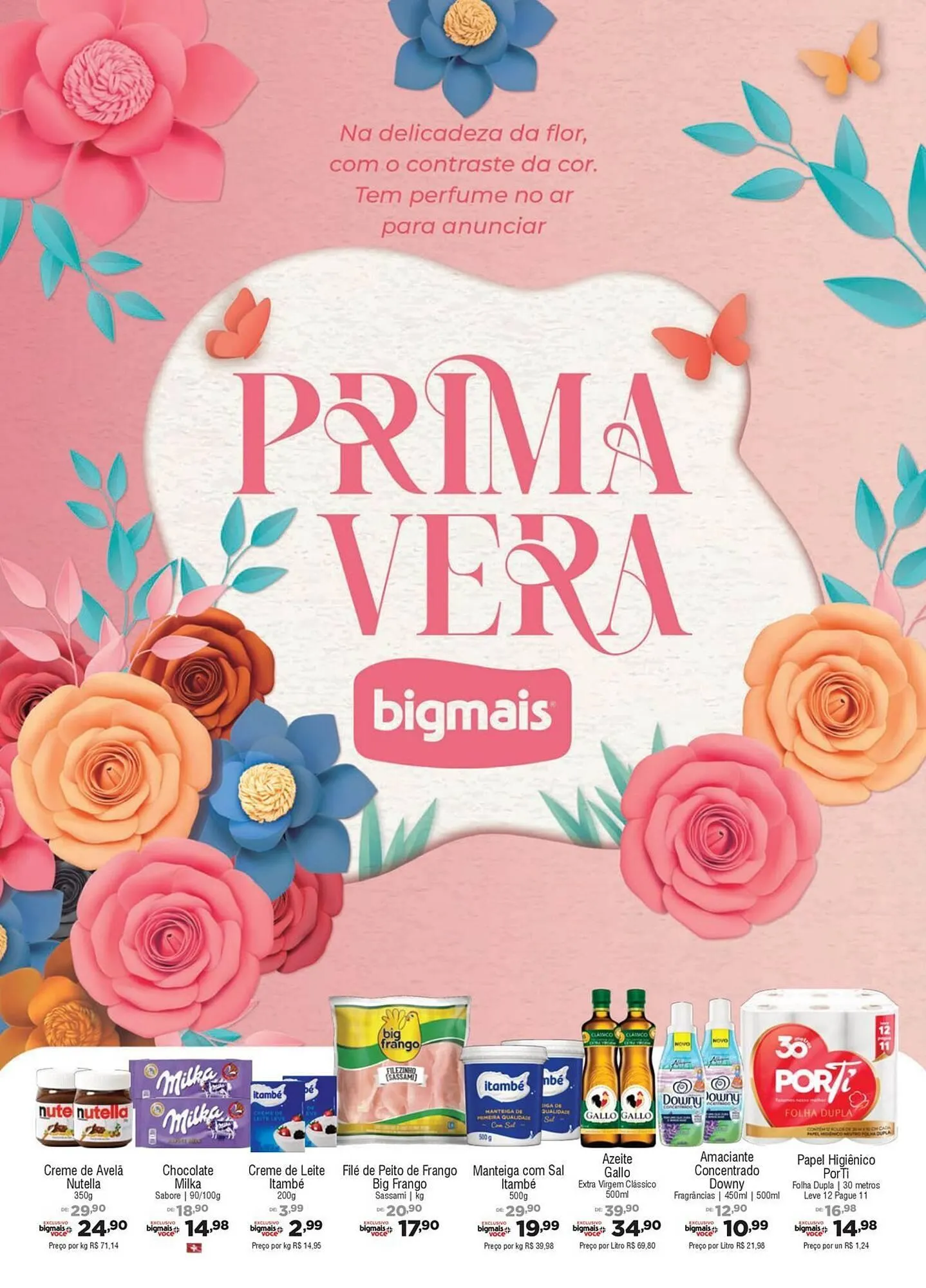 Catálogo Big Mais Supermercados - 1