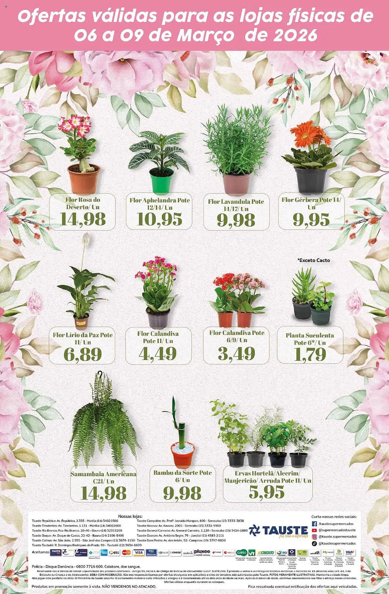 Encarte de Catálogo Supermercados Tauste 6 de março até 10 de março 2026 - Pagina 2