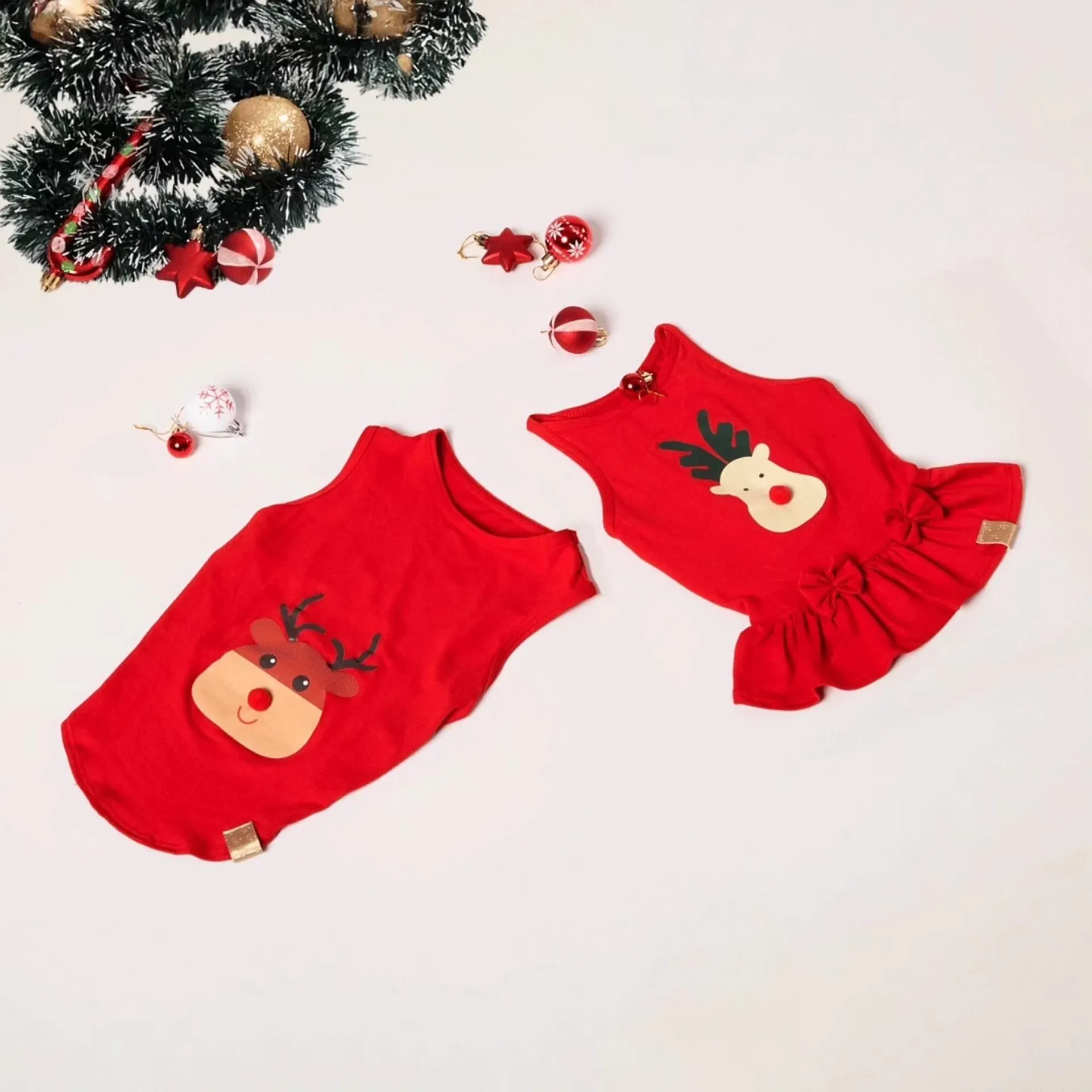 Encarte de Catálogo Cobasi 12 de dezembro até 18 de dezembro 2025 - Pagina 3