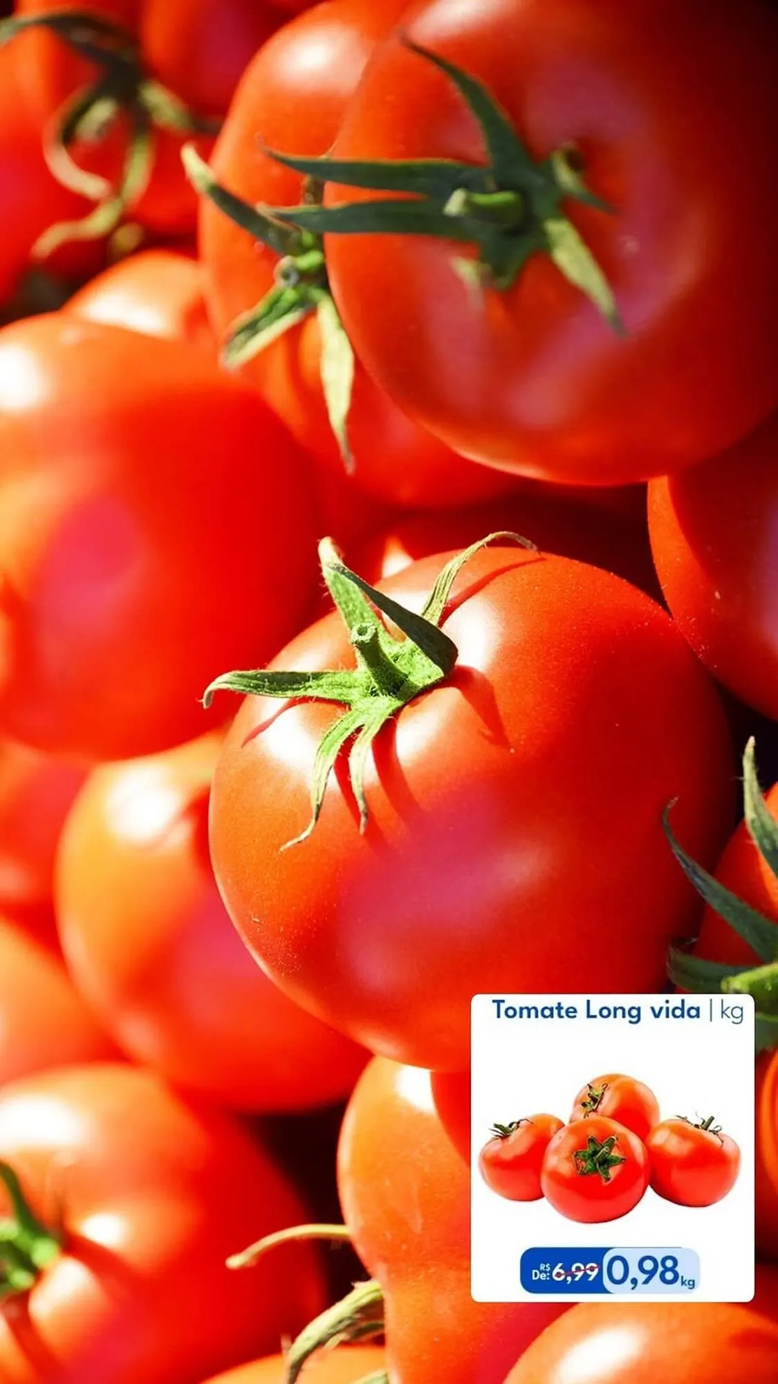 Encarte de Catálogo Supermercados Baklizi 7 de janeiro até 30 de janeiro 2026 - Pagina 5